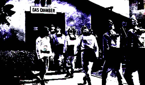 国内音源のセレクトショップGAS CHAMBER RECORDSです。