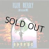 画像: (Mix CD) BLUE BERRY / JAM SESSION ONE