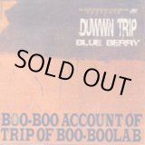 画像: (Mix CD) BLUE BERRY / DUWWN TRIP 