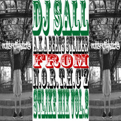 画像1: (Mix CD) DJ SALL / STRIKE MIX VOL.2 